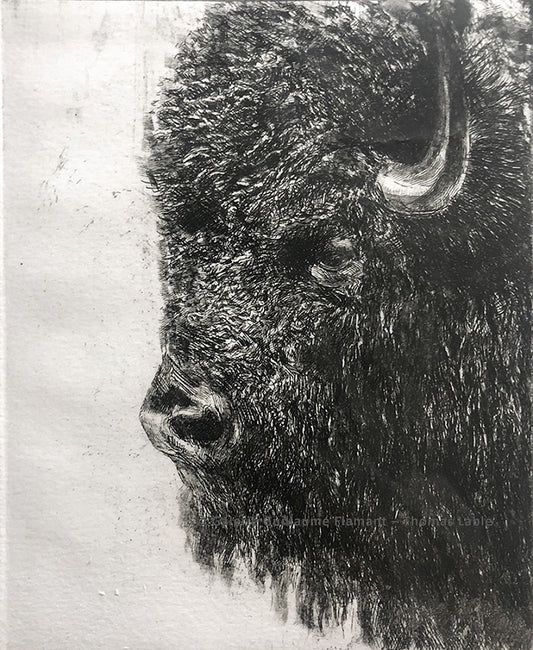 Le Bison